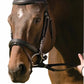 Horse wearing Padded Dressage Bridle with Crank Flash Noseband - Raised Leather Bridle with Web Reins shown in close-up