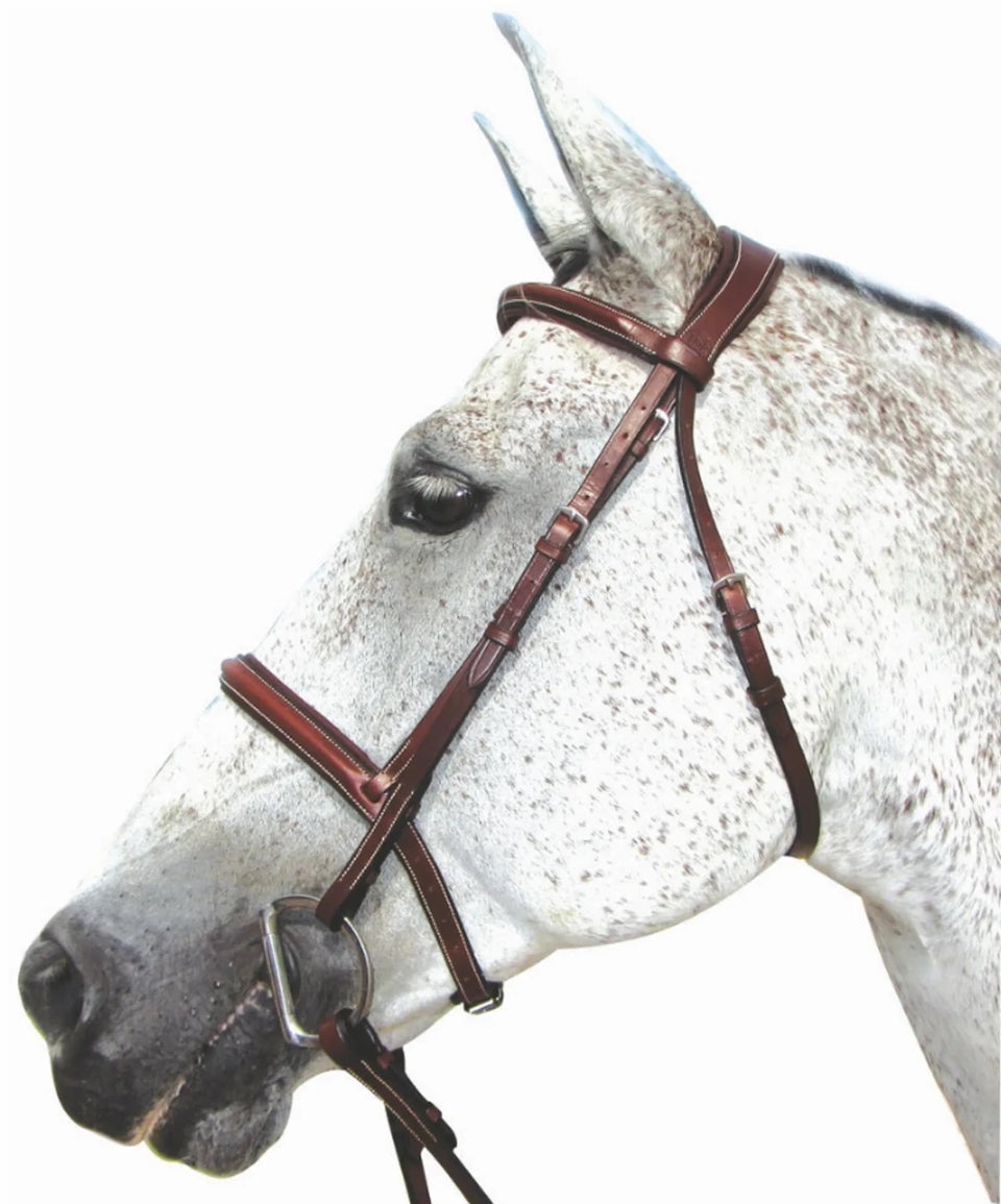 Henri de Rivel Pro Mono Crown Padded Bridle, Havana/HORSE, view 7