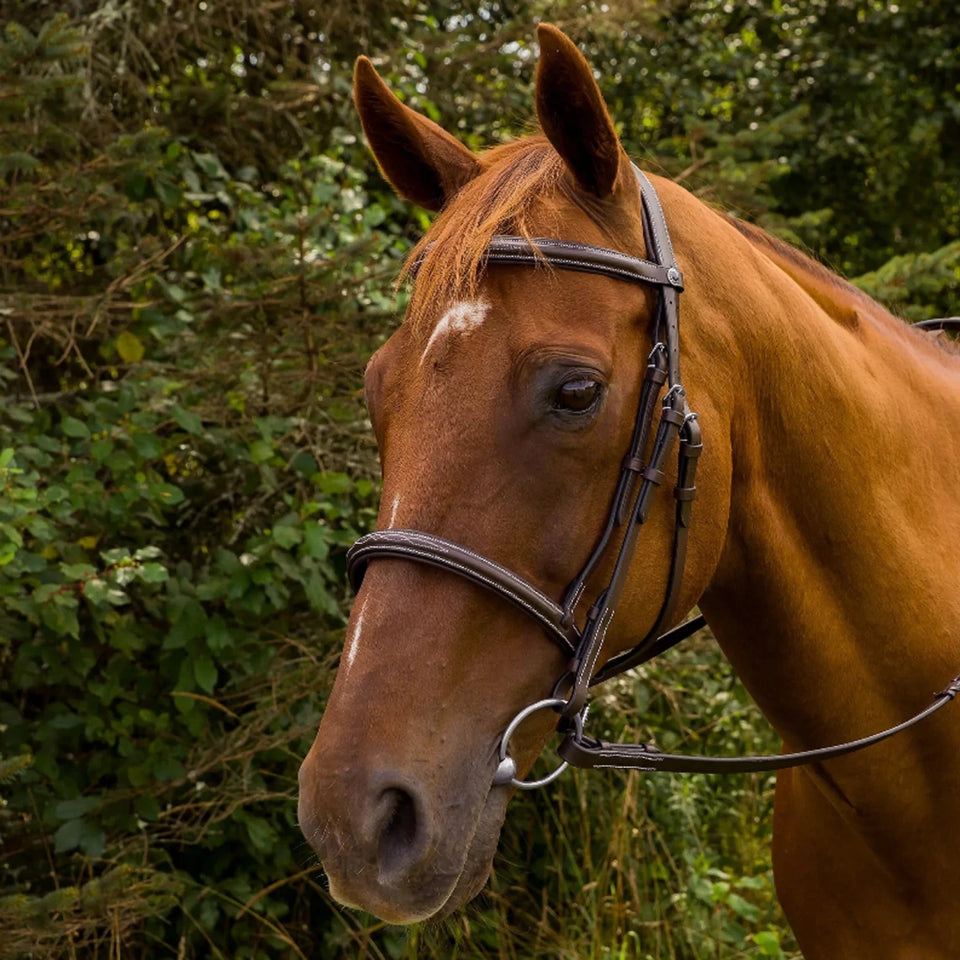 Horse Bridle - Henri de Rivel Pro Mono Crown Fancy Stitched Padded, Havana/1, view 2