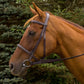 Horse Bridle - Henri de Rivel Pro Mono Crown Fancy Stitched Padded Bridle with Laced Reins on chestnut horse in outdoor setting