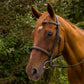 Horse wearing Horse Bridle - Henri de Rivel Pro Mono Crown Fancy Stitched Padded Bridle with Laced Reins in natural outdoor setting