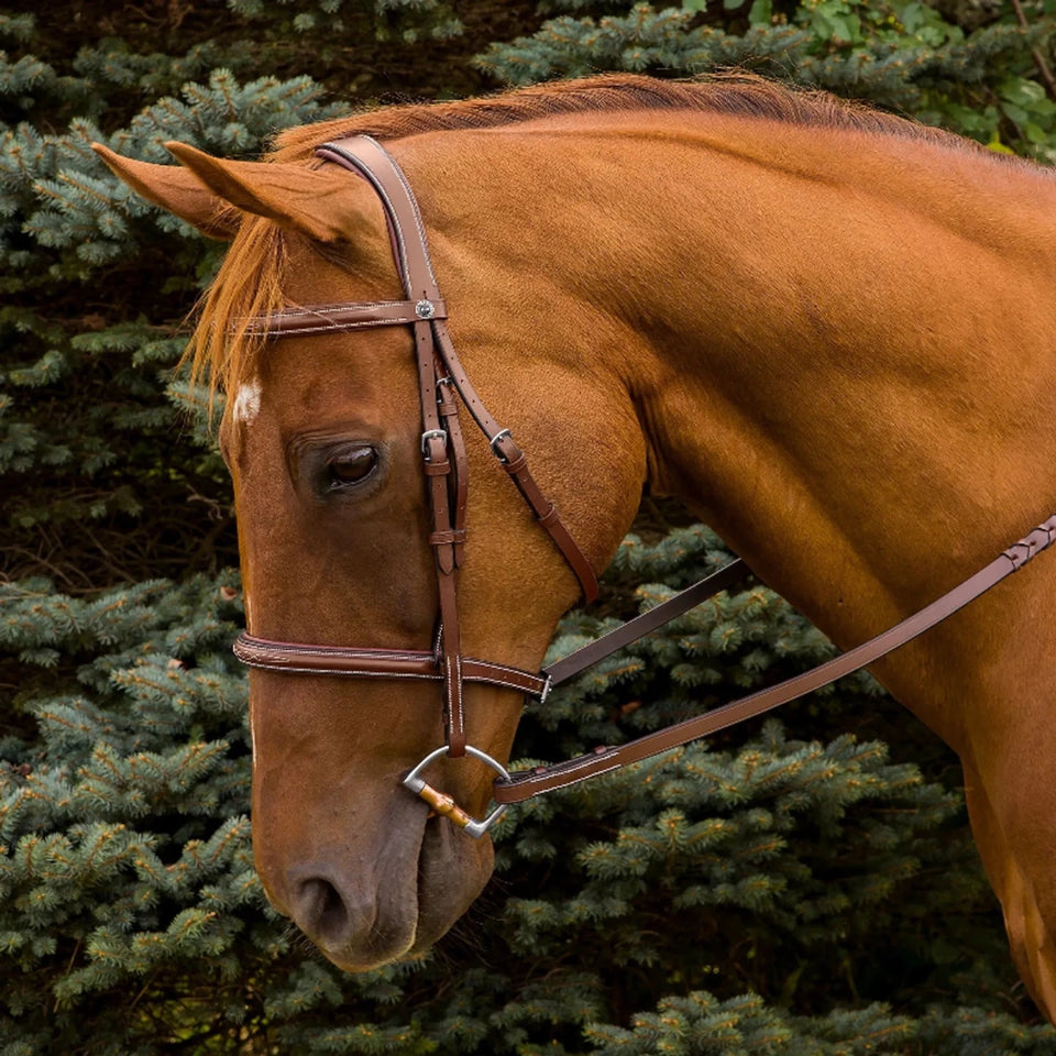 Horse Bridle - Henri de Rivel Pro Mono Crown Fancy Stitched Padded, view 12