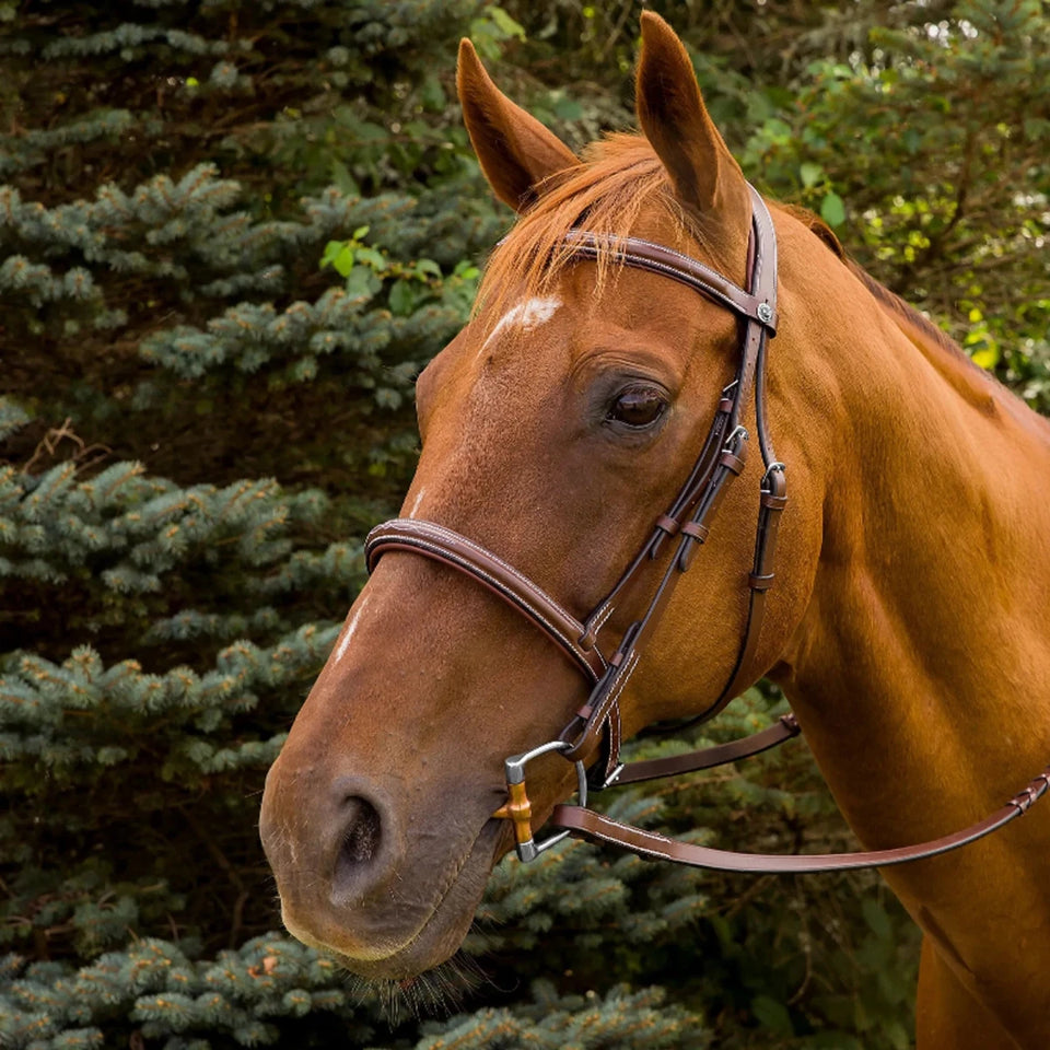 Horse Bridle - Henri de Rivel Pro Mono Crown Fancy Stitched Padded, Australian nut/OVERSIZE, view 6