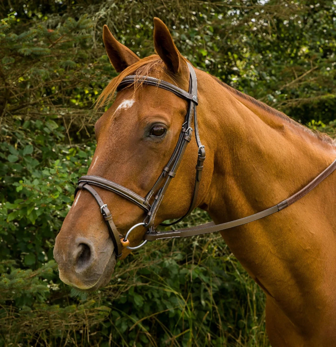 Brown horse wearing a Mono Crown Bridle with Flash - Padded Bridle with Rubber Reins against green foliage background