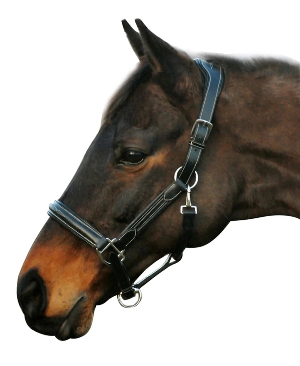 Henri de Rivel Stress Free Halter With Fancy Contrast Stitching, view 4
