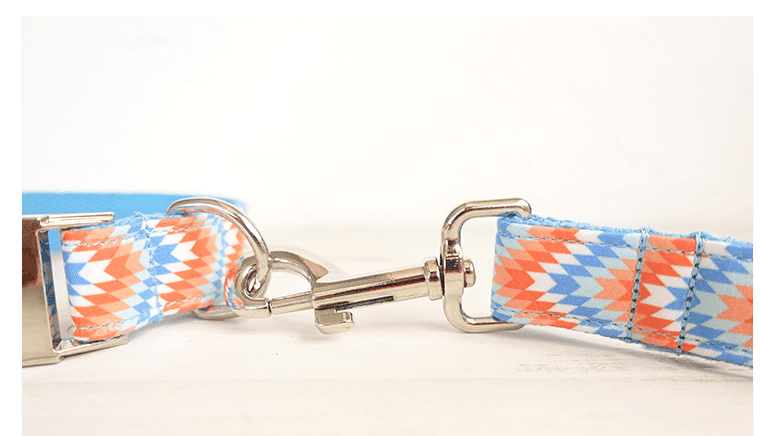 Patterned Dog Collar - Orange Blue Design - Pets Perfect