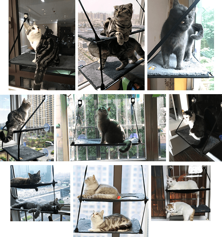 Luxury Cat Hammock Bed With Super Suction Cup - Removable And Washable - Pets Perfect
