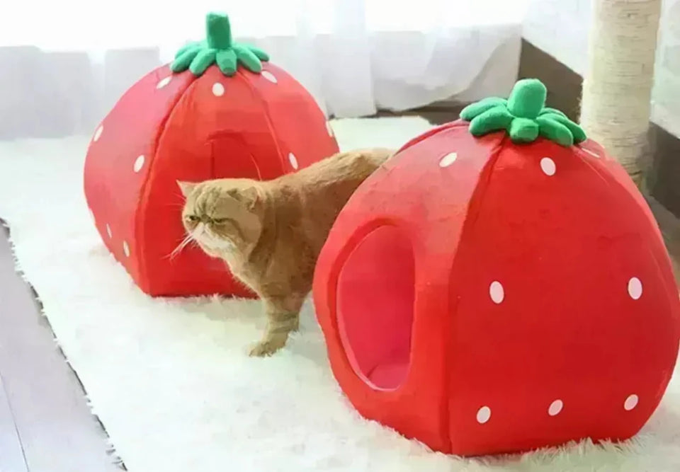 YML Strawberry Pet Bed House, view 6