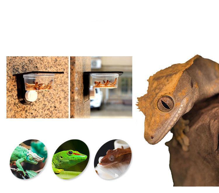 Reptile Hanging Food & Water Basin - Versatile Feeding Solution