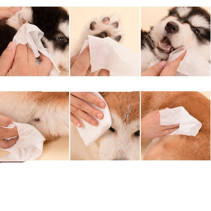 Pet Fresh Clean Wipes for Dogs & Cats - Pets Perfect
