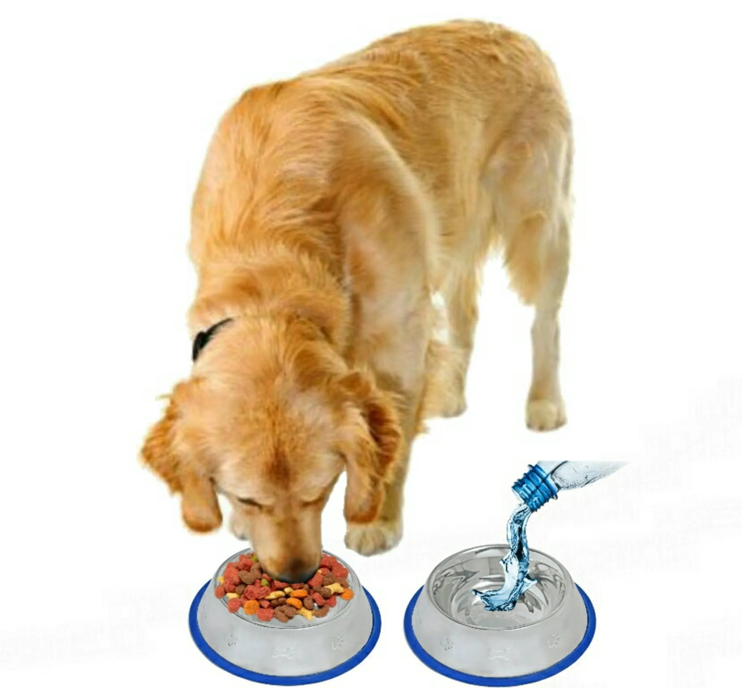 Mr. Peanut's Etched Stainless Steel Dog Bowls with Blue Silicone Base | Set of 2