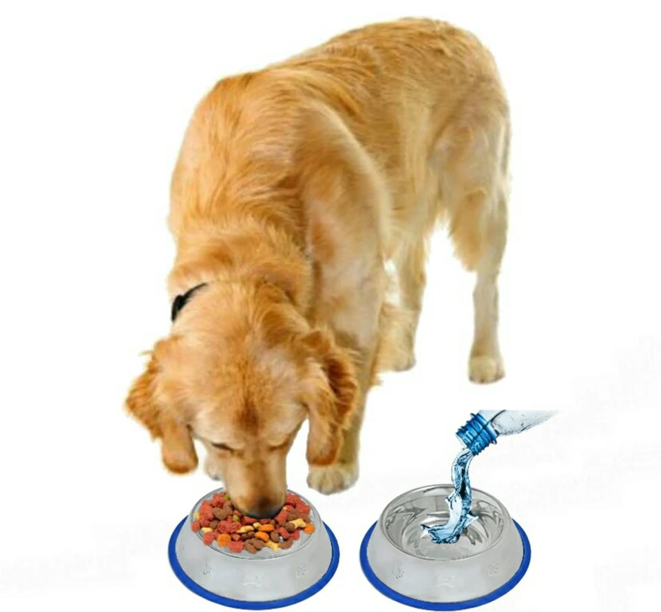 Mr. Peanut's Etched Stainless Steel Dog Bowls with Blue Silicone Base, view 6