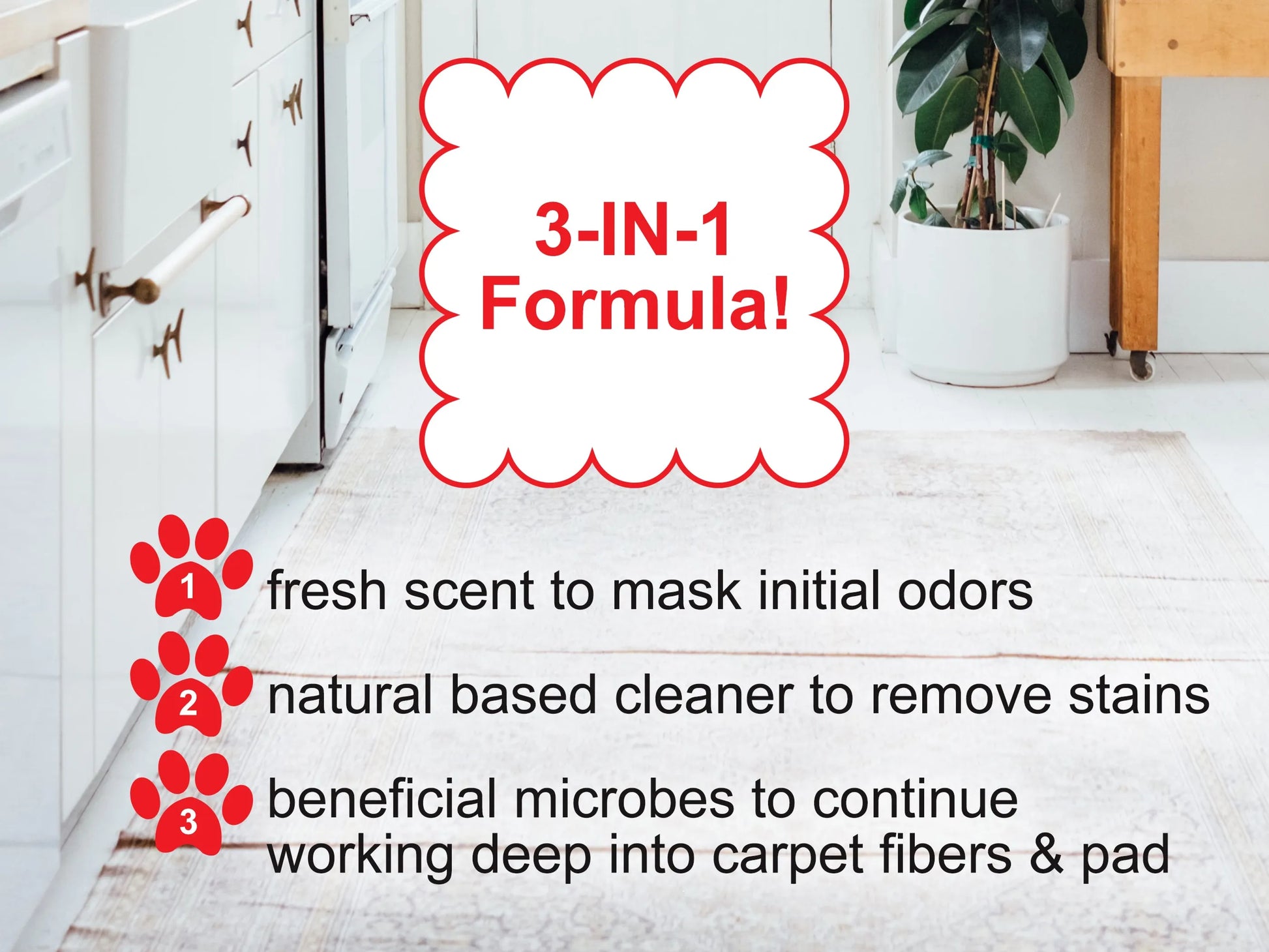 Mr. Peanut's Naturals Enzymatic Stain and Odor Remover - Pets Perfect