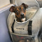 Mr. Peanut's Aspen Series Airline Capable Backpack Pet Carrier
