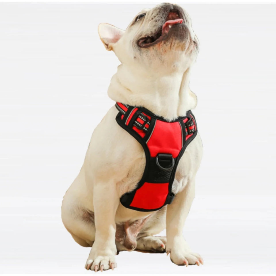 Mr. Peanut's PetTrek Reflective Pet Dog Harness With Matching Dog, view 17