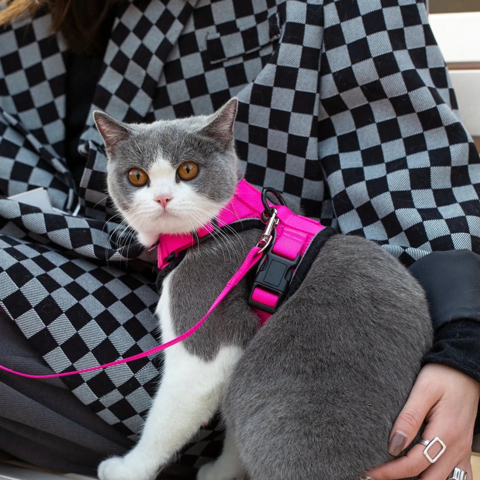Mr. Peanut's PurrTrek Reflective Cat Dog Harness with Matching Dog, view 7