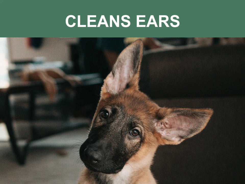 Mr. Peanut's Naturals Pet Wipes, view 5