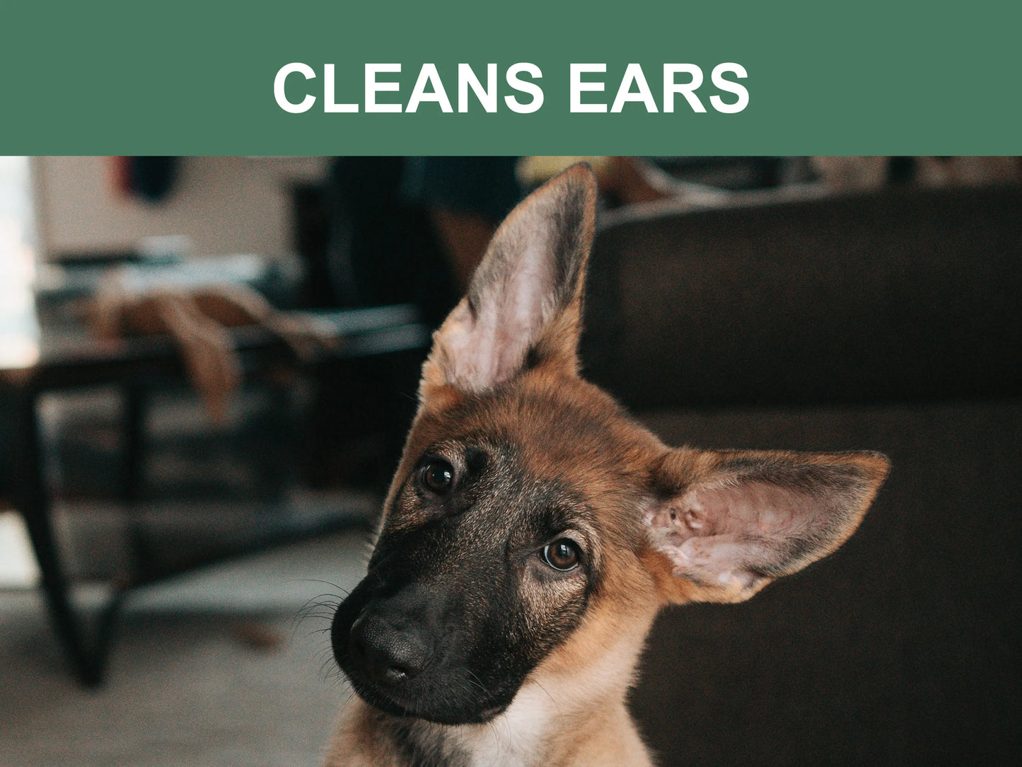 Mr. Peanut's Naturals Pet Wipes - Pets Perfect