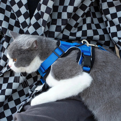 Mr. Peanut's PurrTrek Reflective Cat Dog Harness with Matching Dog, Blue/X SMALL