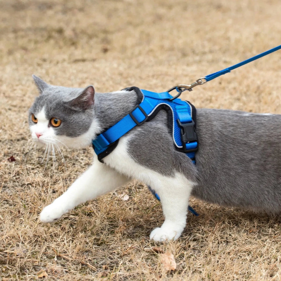 Mr. Peanut's PurrTrek Reflective Cat Dog Harness with Matching Dog, view 11