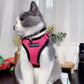 Mr. Peanut's PurrTrek Reflective Cat Harness with Matching Leash