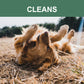 Mr. Peanut's Naturals 5 In 1 Pet Wash - Organic Dog Shampoo & Conditioner - Defense Against Dandruff, Allergies, & Itchy, Dry, Sensitive Skin