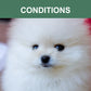 Mr. Peanut's Naturals 5 In 1 Pet Wash - Organic Dog Shampoo & Conditioner - Defense Against Dandruff, Allergies, & Itchy, Dry, Sensitive Skin
