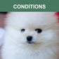 Mr. Peanut's Naturals 5 In 1 Pet Wash - Organic Dog Shampoo & Conditioner - Defense Against Dandruff, Allergies, & Itchy, Dry, Sensitive Skin