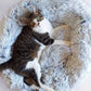 Mr. Peanut's OrthoPlush Pet Bed