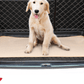 Pet Comfort Care Absorbent Diaper Mat