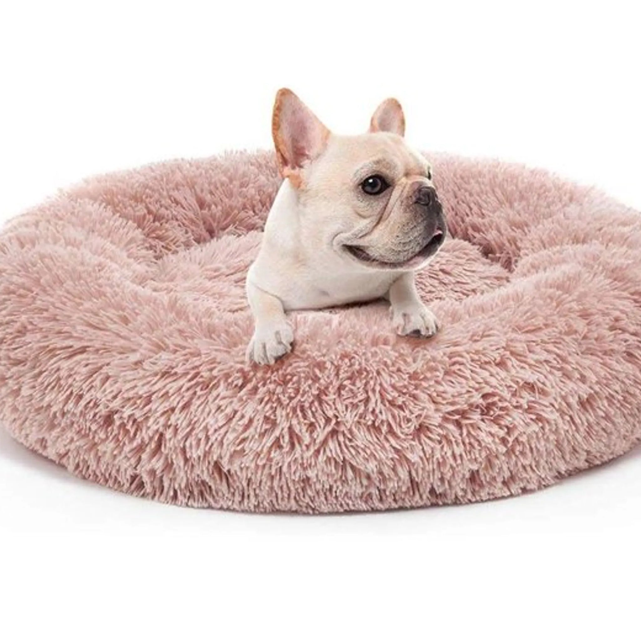 Donut Dog Bed