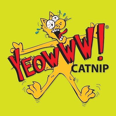 Yeowww Catnip Bag, 1 oz - Pets Perfect