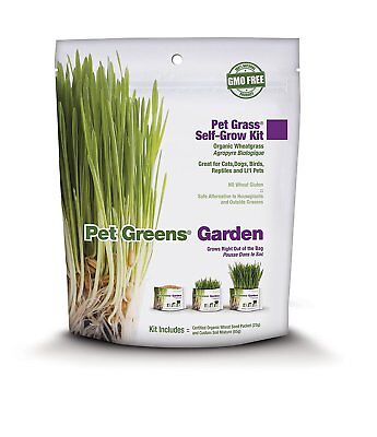 Pet Greens Garden Pet Grass Self - Grow Kit Organic Wheatgrass 1ea/3 oz - Pets Perfect