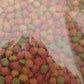 Pretty Bird International Sugar Glider Dry Food 12 oz