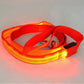 Glowing Pet Leash - Illuminated Led Dog Leash - Pets Perfect