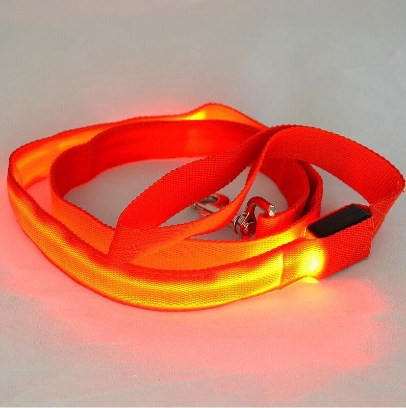 Glowing Pet Leash - Illuminated Led Dog Leash - Pets Perfect