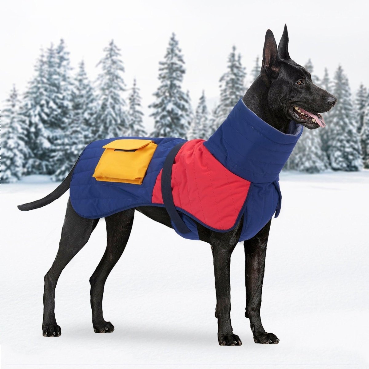 Winter Wonderland Dog Padded Coat - Ins Style Cotton Jacket - Pets Perfect