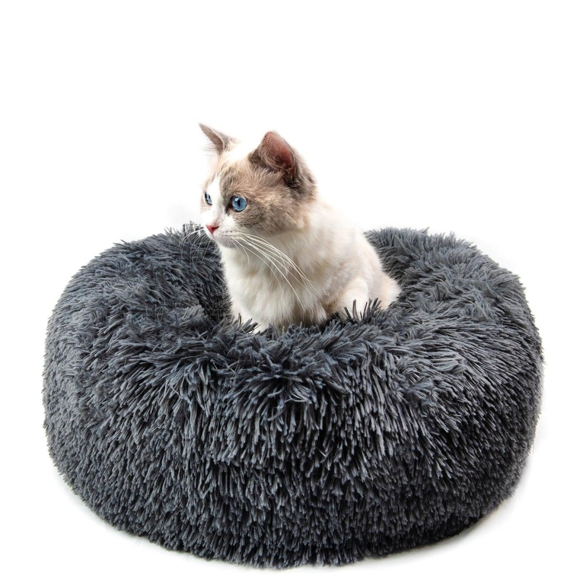Luxury Plush Donut Pet Bed: Cozy Haven For Small Dogs And Cats - Pets Perfect