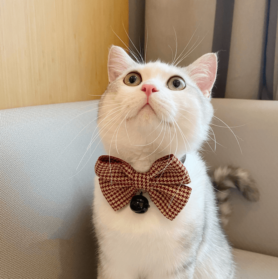 Cat Collar Bow Tie - Adorable Puppet Decoration Accessory - Pets Perfect