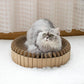 Splice Haven: Stylish Diy Corrugated Cat Scratcher - Pets Perfect