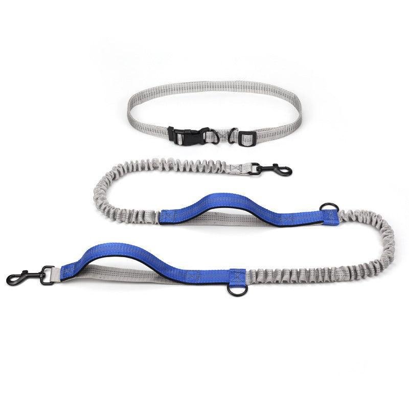 Ultimate Outdoor Adventure Dog Leash - Pets Perfect