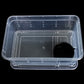 Transparent Reptile Haven: The Perfect Enclosure For Your Cold - Blooded Companions - Pets Perfect