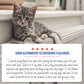 Adams Plus Flea & Tick Spot On for Cats & Kittens 1ea/Over 2.5 Lbs But Under 5 lb - Pets Perfect