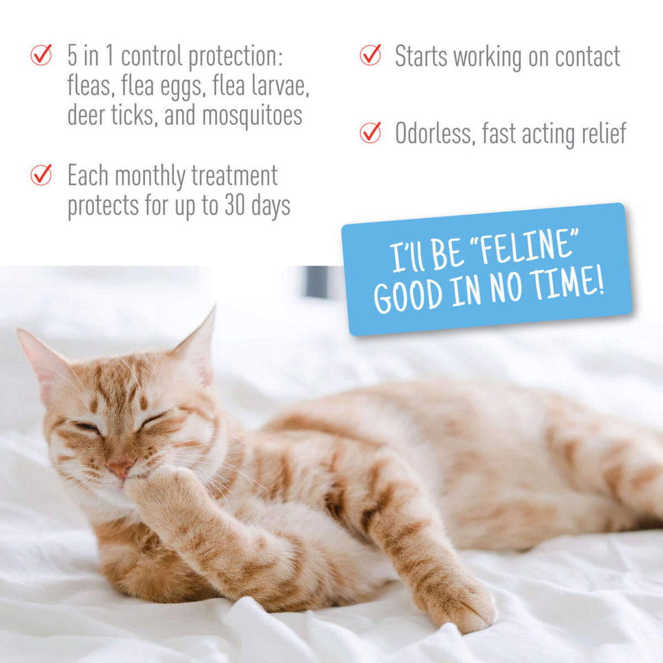Adams Plus Flea Tick Spot On for Cats Over 5 lb