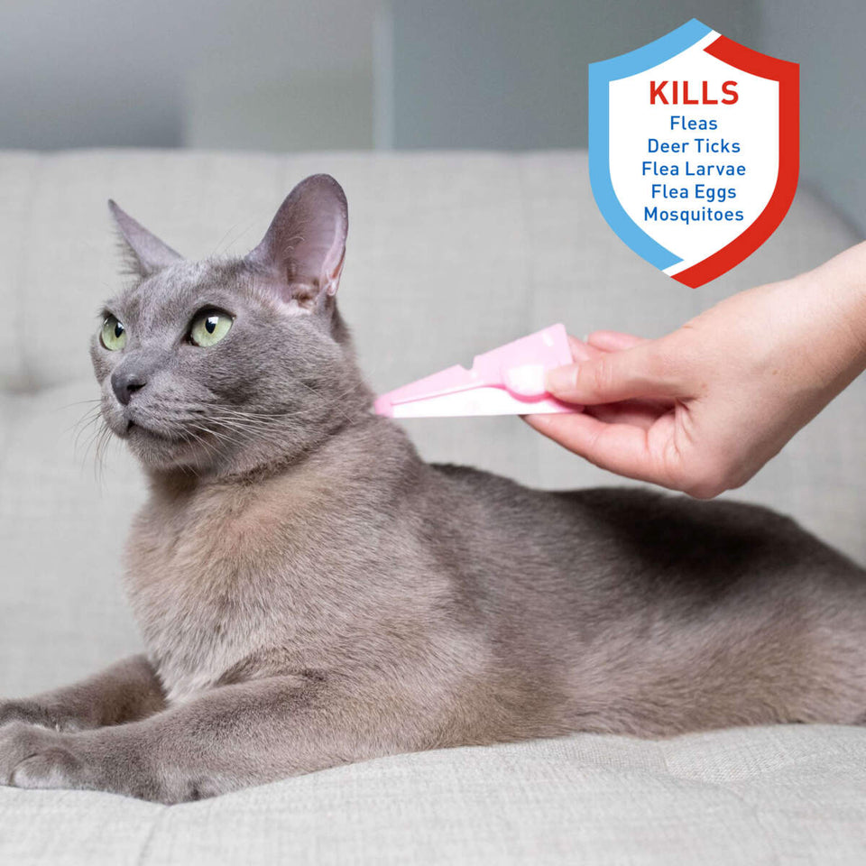 Adams Plus Flea Tick Spot On for Cats Over 5 lb