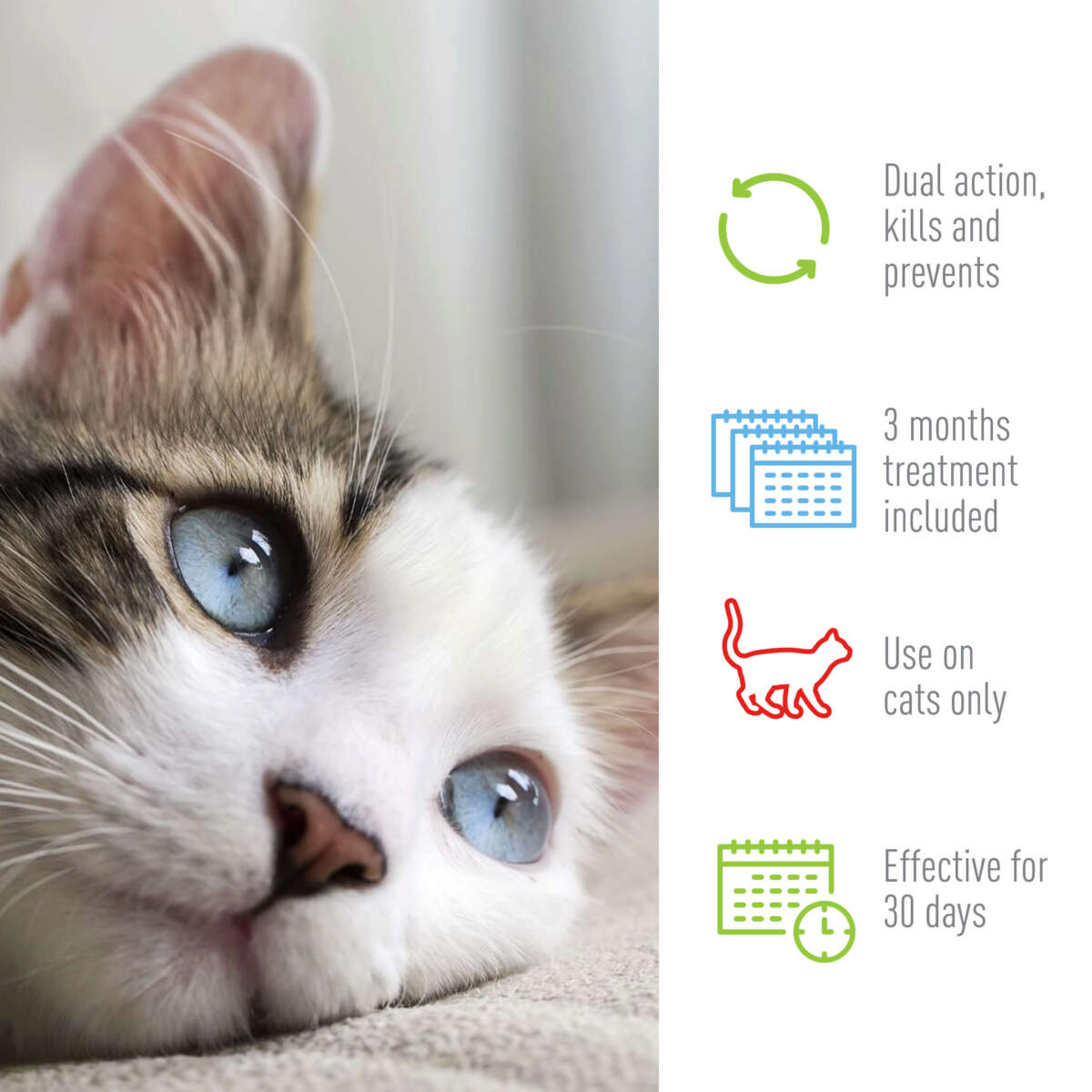 Adams Plus Flea Tick Spot On for Cats 1ea/Over 5 lb - Pets Perfect