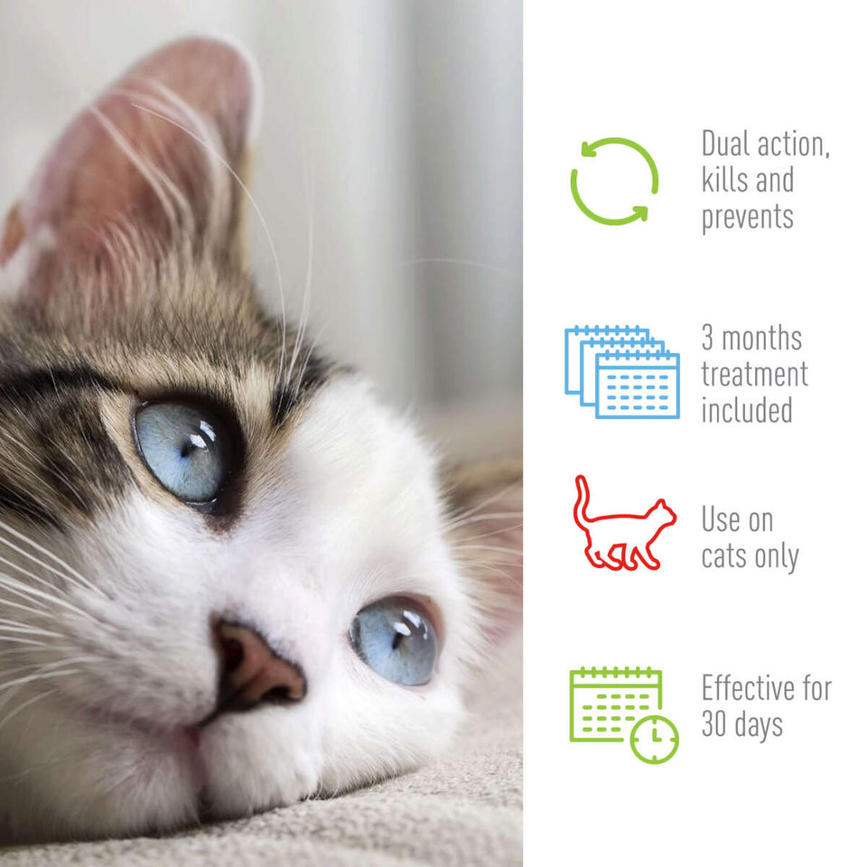 Adams Plus Flea Tick Spot On for Cats Over 5 lb