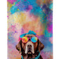 Hippie Dawg Kitchen Towel - Size: 25HX15W | Pack Of: 1 | Collection name: Hippie dawg - Pets Perfect