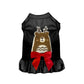 Cuddle Antler Bear Dog Outfit - Holiday Tee, Dress and Hoodie by Bark Fifth Avenue