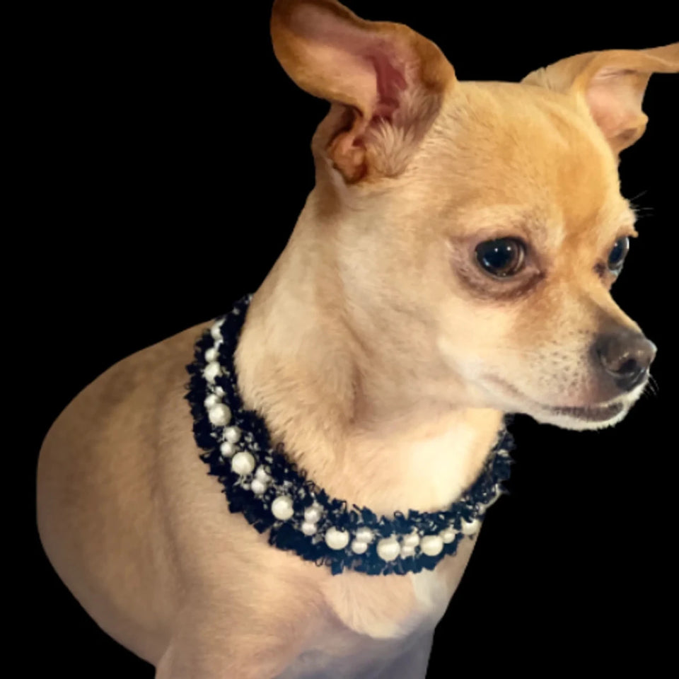 Luxurious Tweed Dog Collar - Pets Perfect